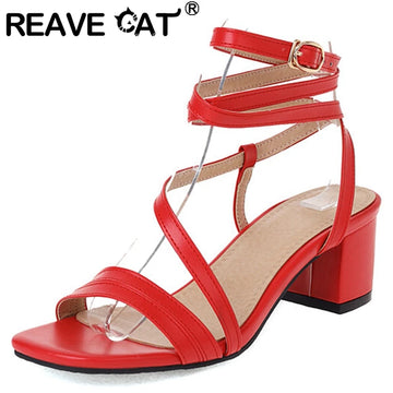 Women’s Summer Sandals – Elegant & Comfortable Footwear-belleandkai.com