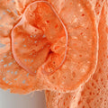 Belle&Kai Women’s Dresses – Elegant, Feminine & Timeless Styles-belleandkai.com