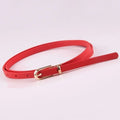 Stretch  Belt Women Fashion Waist Belt Thin Buckle Waistband for Fashion Ladies Belt Dress Apparel Accessories New Style 2023-belleandkai.com