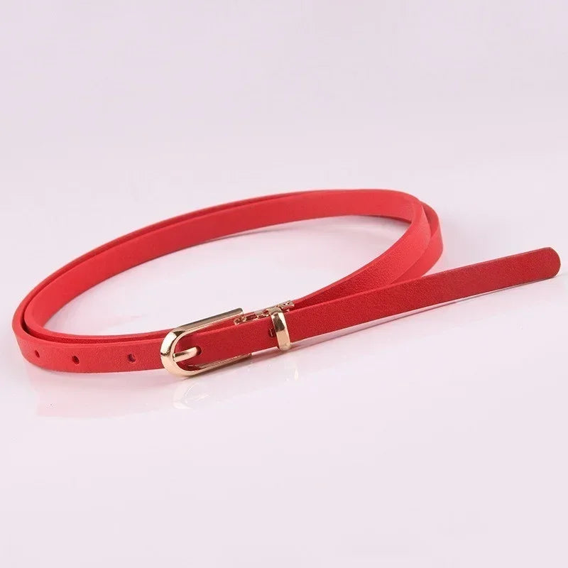 Stretch  Belt Women Fashion Waist Belt Thin Buckle Waistband for Fashion Ladies Belt Dress Apparel Accessories New Style 2023-belleandkai.com