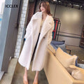 Casual Loose Autumn Women Jacket Winter Teddy Coat Woman Faux Fur Coat Female Plush Thick Warm Fleece Long Jacket Oversized-belleandkai.com