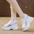Women’s Summer Sandals – Elegant & Comfortable Footwear-belleandkai.com