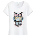 Belle&Kai Women’s Tops – Chic, Comfortable & Versatile Styles-belleandkai.com