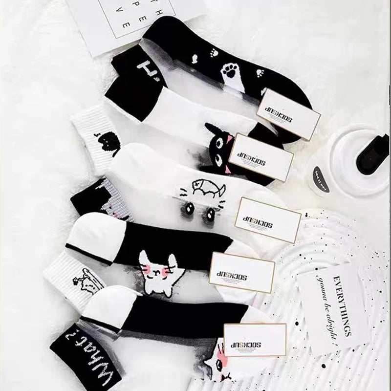5 Pairs/lot of Womens Slass Filament Fiber Spring and Summer Thin Transparent Black Cat Socks Polyester Breathable Sock Sole-belleandkai.com