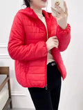 Minimalist Light Weight Women Down Cotton Jackets 2024 New Winter Korean Style Hooded Quilted Parkas Female Windbreaker Outwear-belleandkai.com