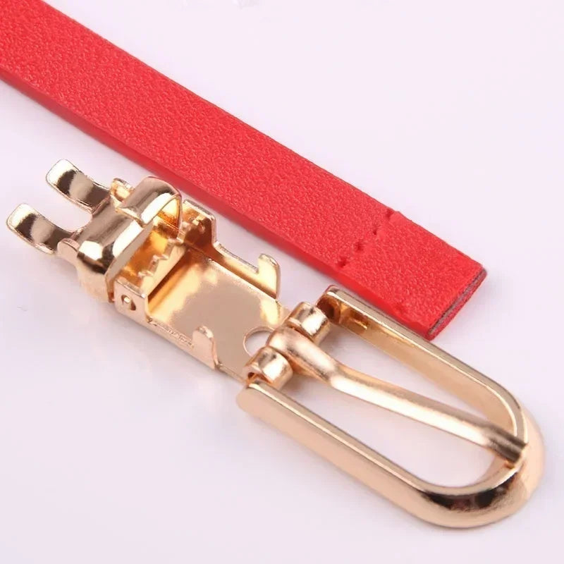 Stretch  Belt Women Fashion Waist Belt Thin Buckle Waistband for Fashion Ladies Belt Dress Apparel Accessories New Style 2023-belleandkai.com