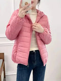 Minimalist Light Weight Women Down Cotton Jackets 2024 New Winter Korean Style Hooded Quilted Parkas Female Windbreaker Outwear-belleandkai.com