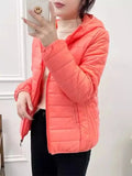 Minimalist Light Weight Women Down Cotton Jackets 2024 New Winter Korean Style Hooded Quilted Parkas Female Windbreaker Outwear-belleandkai.com