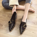 Belle&Kai Women’s Shoes – Elegant, Comfortable & Versatile Footwear-belleandkai.com