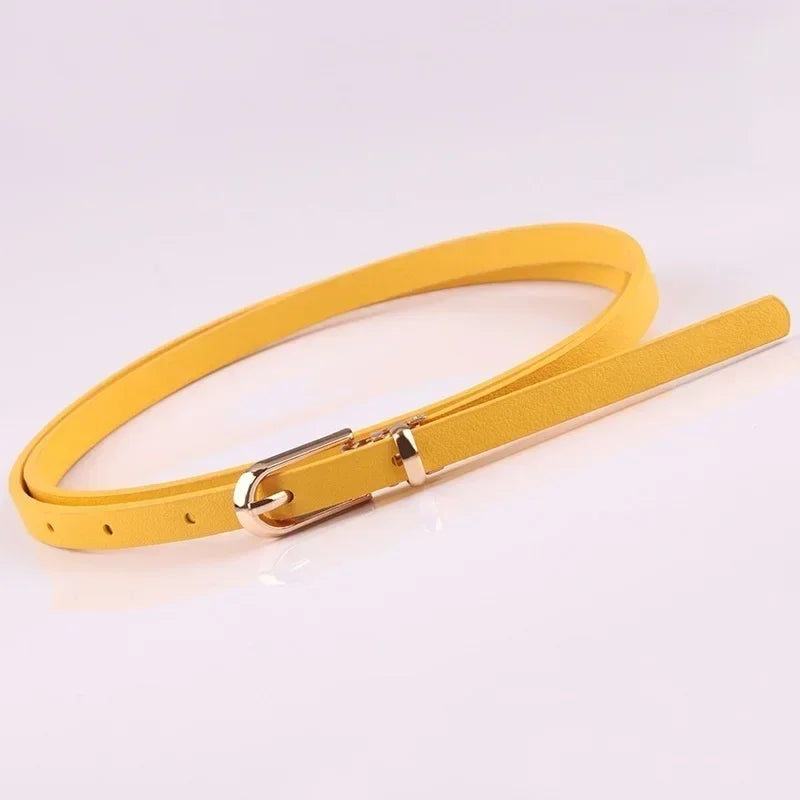 Stretch  Belt Women Fashion Waist Belt Thin Buckle Waistband for Fashion Ladies Belt Dress Apparel Accessories New Style 2023-belleandkai.com