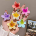6Pcs Hawaiian Gradient Hair Clips Flower Hair Claws Women Hair Accessories Small Size Fashion Headwear Hairpin Crab Barrette-belleandkai.com