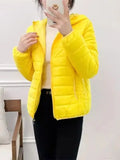 Minimalist Light Weight Women Down Cotton Jackets 2024 New Winter Korean Style Hooded Quilted Parkas Female Windbreaker Outwear-belleandkai.com
