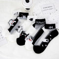 5 Pairs/lot of Womens Slass Filament Fiber Spring and Summer Thin Transparent Black Cat Socks Polyester Breathable Sock Sole-belleandkai.com