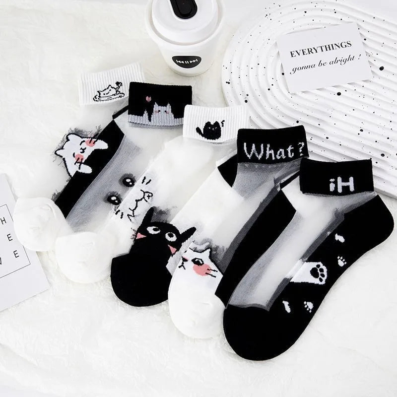 5 Pairs/lot of Womens Slass Filament Fiber Spring and Summer Thin Transparent Black Cat Socks Polyester Breathable Sock Sole-belleandkai.com