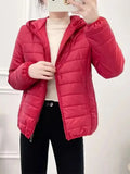 Minimalist Light Weight Women Down Cotton Jackets 2024 New Winter Korean Style Hooded Quilted Parkas Female Windbreaker Outwear-belleandkai.com