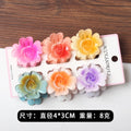 6Pcs Fashion Colorful Transparent Flower Small Hair Claw Clips clamp Hairpin Barrette for Thick Thin Hair Accessories for Women-belleandkai.com
