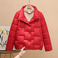 Autumn Winter Down Jacket For Women 2024 Solid Stand Collar Plaid Ultralight White Duck Down Coat Keep Warm Puffer Jacket Female-belleandkai.com