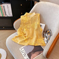 Vintage Vest Shirt New Chinese Style Embroidered Stand Collar Organza Vest Spring and Summer Temperament Women's Clothing-belleandkai.com